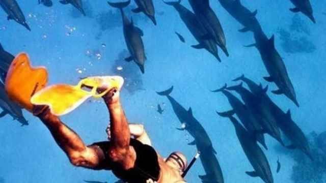 8 day Marsa Alam Holiday Packages with Nile Cruise | Marsa Alam Travel Packages